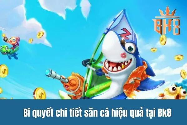 Bí quyết chi tiết săn cá hiệu quả tại Bk8