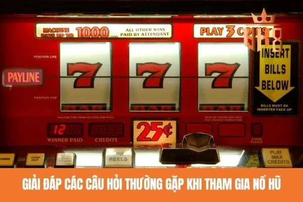 Giải đáp các câu hỏi thường gặp