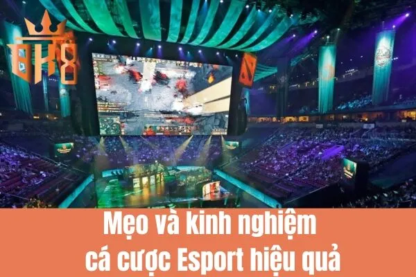 E-sport trực tuyến với tỷ lệ cược cao